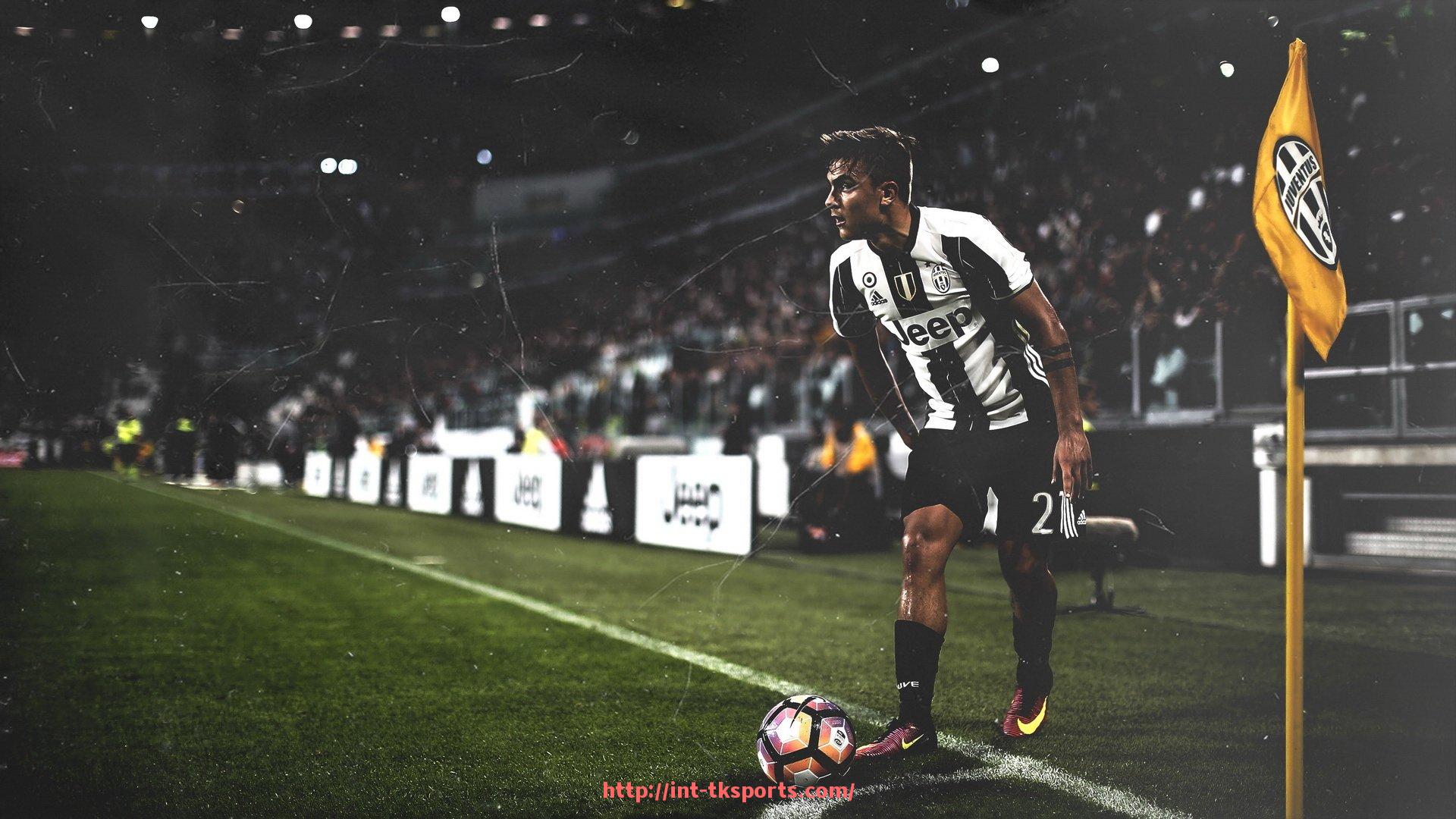 TK体育直播-健身器材的各种系列产品介绍及功能比较